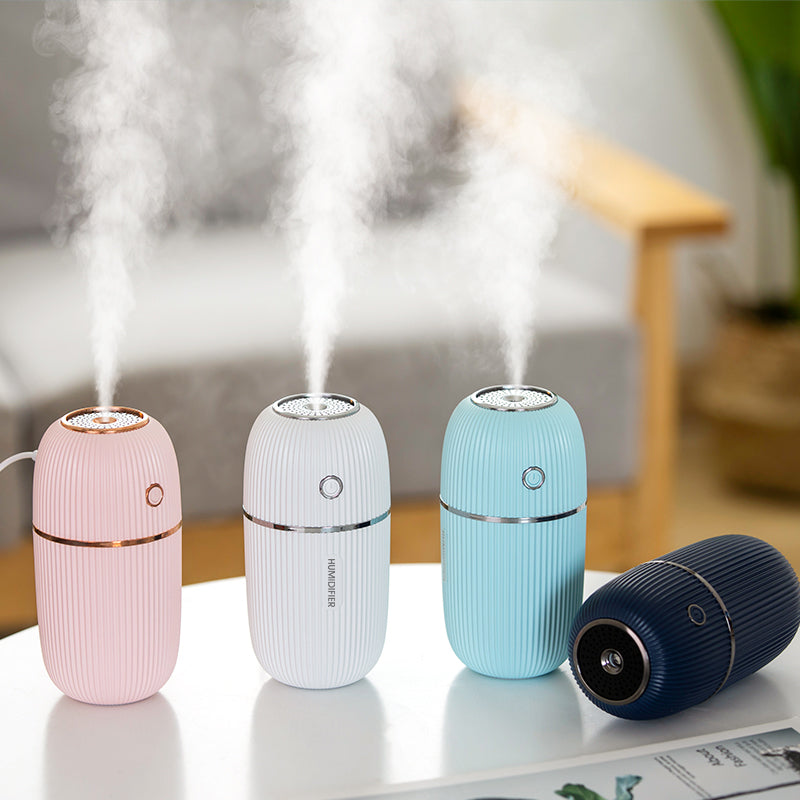 Transform Your Space with the Portable Humidifier